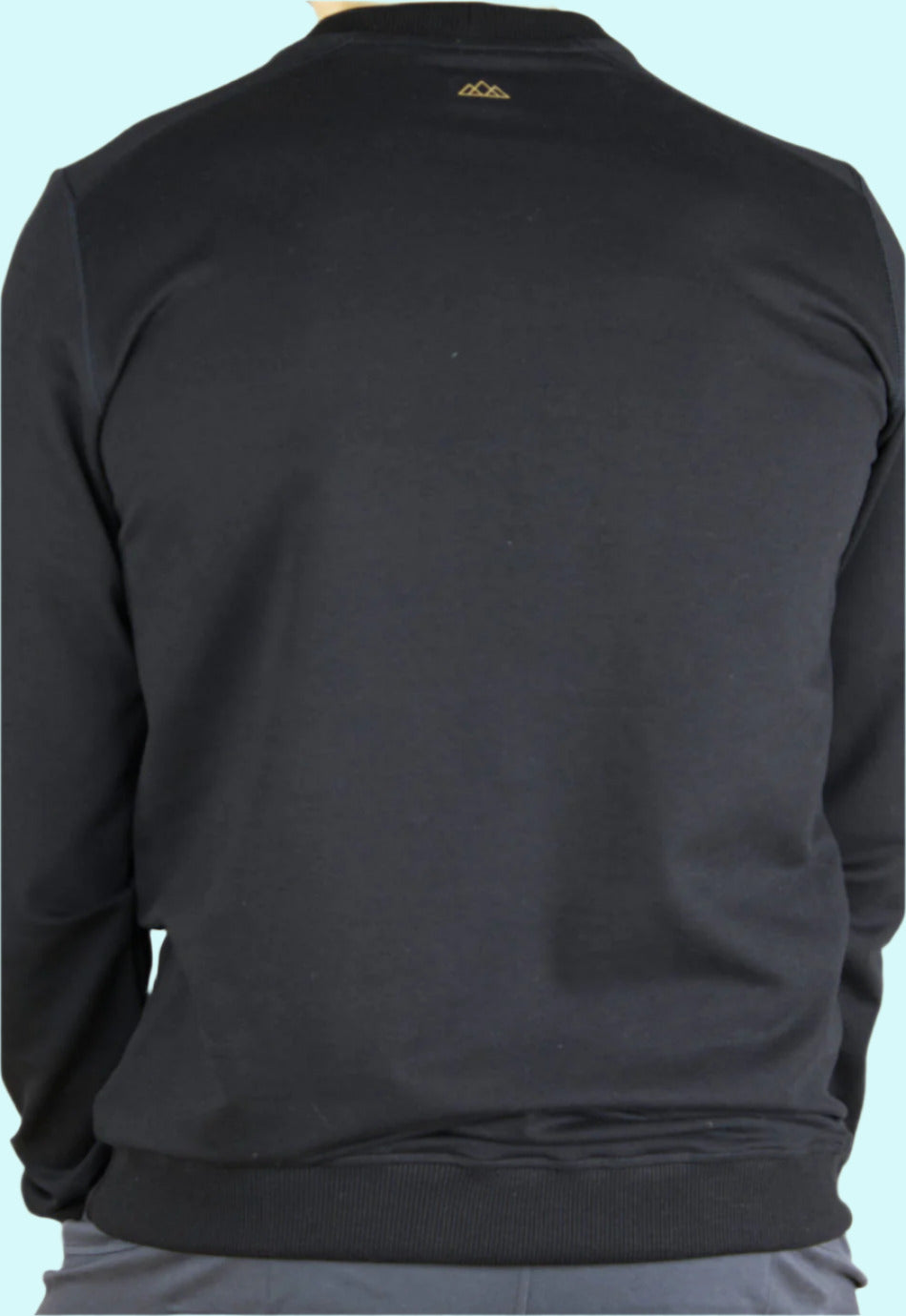 Rueckansicht des M23 Sweatshirts „Phil“ in Schwarz aus Bio-Baumwolle mit minimalistischem Berglogo-Nackendruck – nachhaltige und umweltfreundliche Herrenmode.